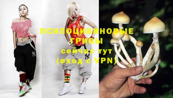 ALPHA-PVP Белокуриха