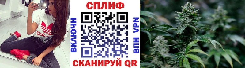 Марихуана THC 21%  кракен маркетплейс  Ачхой-Мартан 